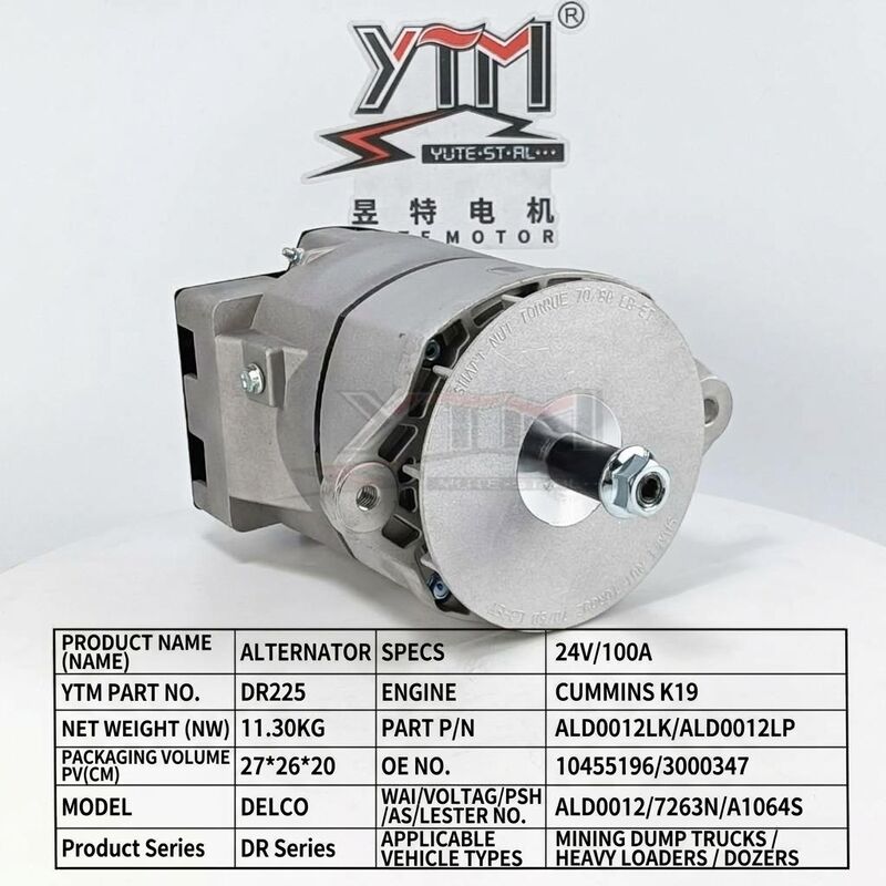 DR225 Alternator 24V 100A 10455196 3000347 ALD0012LK ALD0012LP ALD0012 for Cummins K19 Engine Heavy Machinery